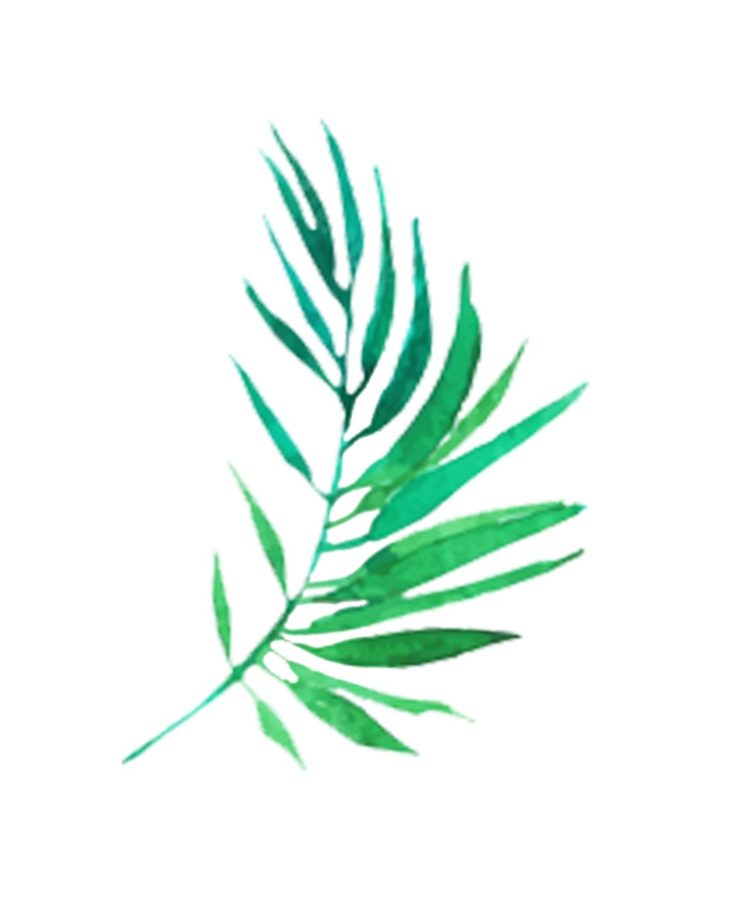 Hoja